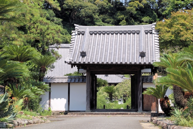 三大ソテツのある能満寺山門(photo by photo AC)