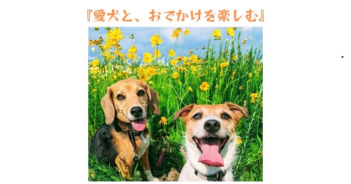 愛犬と、おでかけを楽しむのアイキャッチ画像