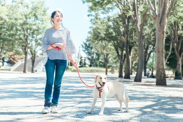 犬と散歩を楽しむ女性の写真